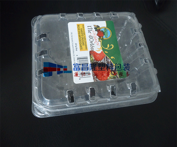 水果对折吸塑包装盒